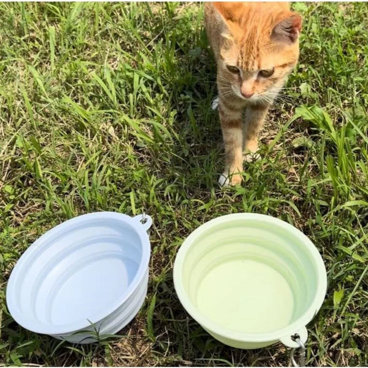 Portable 2Pcs Collapsible Pet Silicone Dog Food Water Bowl