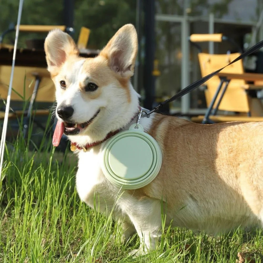 Portable 2Pcs Collapsible Pet Silicone Dog Food Water Bowl